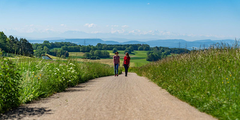 Patient Hochrhein Nordwest